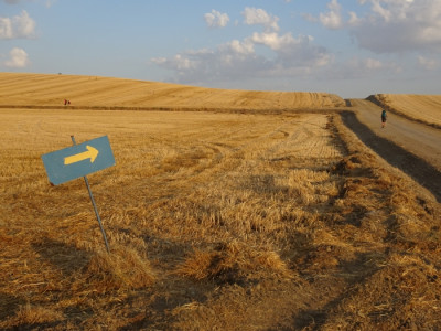 Caminho de Santiago, melhor sozinho ou acompanhado?