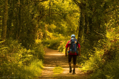 Training for the Camino de Santiago