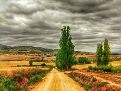 FEAACS: “Toca repensar el Camino de Santiago”