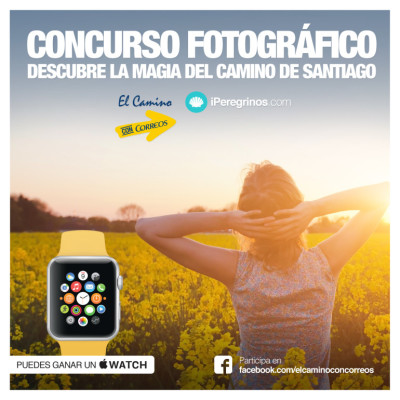 ¡Ya tenemos finalistas del concurso #LaMagiaDelCamino!