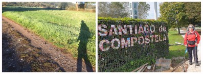 Walking the Camino de Santiago during Covid-19