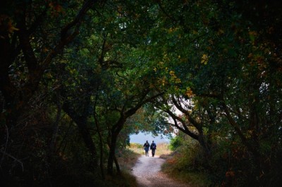 Motivos para hacer el Camino de Santiago en 2022