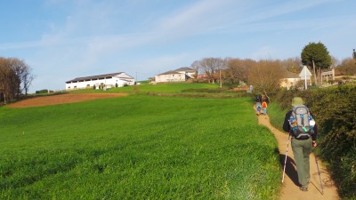 Guía del Camino Francés: de Sarria a Santiago