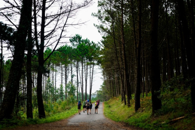 El Camino de Santiago en Galicia