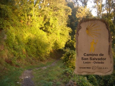 De León a Oviedo por el Camino de San Salvador