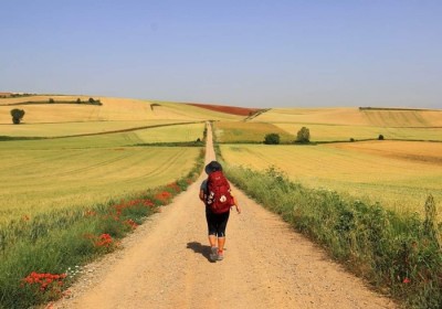 ¿Cuántos peregrinos recorren el Camino de Santiago?