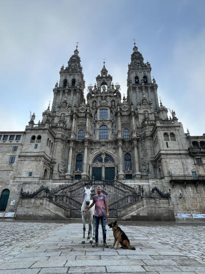 El Camino de Santiago a 10 patas