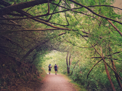 Preguntas frecuentes sobre el Camino de Santiago