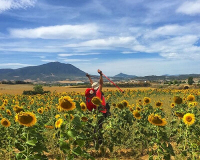 What is the best time to do the Camino de Santiago?