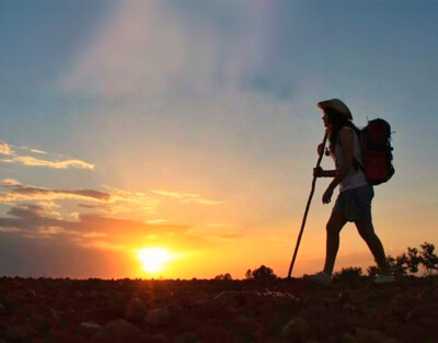 El Camino de Santiago por tramos