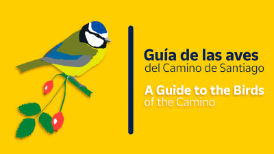 Guía de aves do Caminho de Santiago