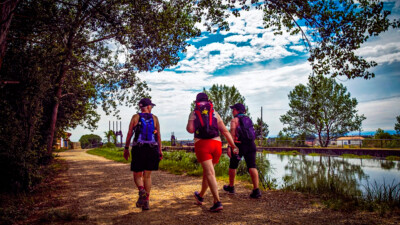 Camino de Santiago para jóvenes