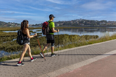 Camino de Santiago para principiantes