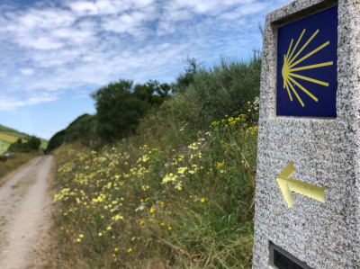 Un Camino de Santiago de récord