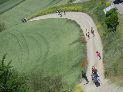 Foreigners on the Camino: Predominant countries and languages