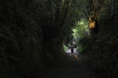 Diez consejos si vas a hacer sol@ el Camino de Santiago