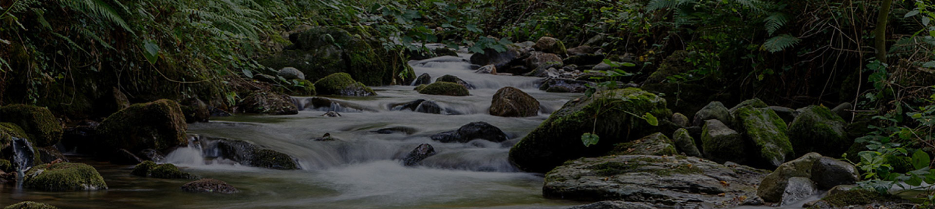 Camino Primitivo (The Primitive Way)