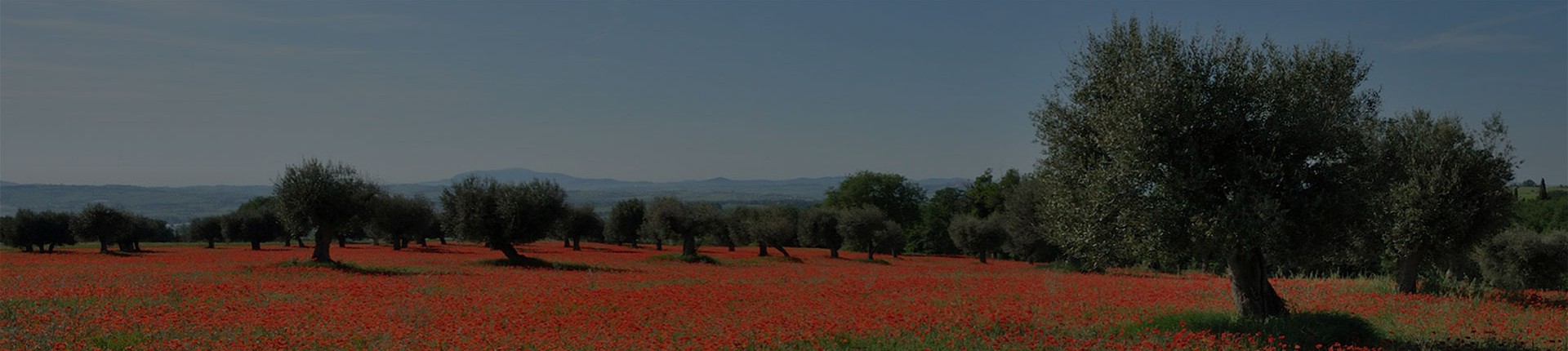 The Vía de La Plata 