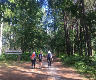 Camino Portugués en su paso por Saxamonde