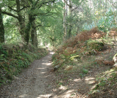 Ruta por Olveiroa en el Camino a Fisterra