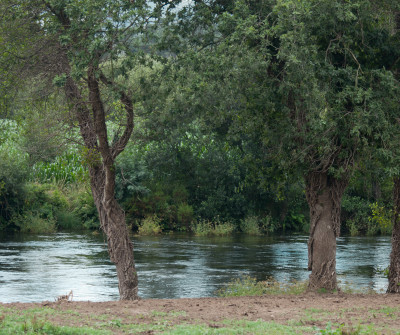 Ponte Olveira en el Camino a Fisterra