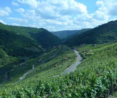 Vistas de Chantada, Camino de Invierno