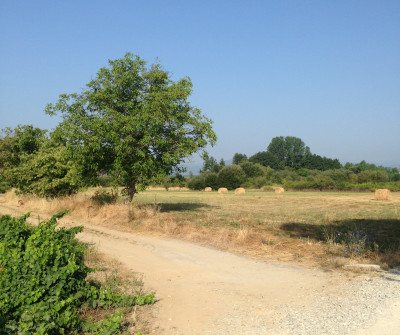 Camino desde Molinaseca a Villafranca