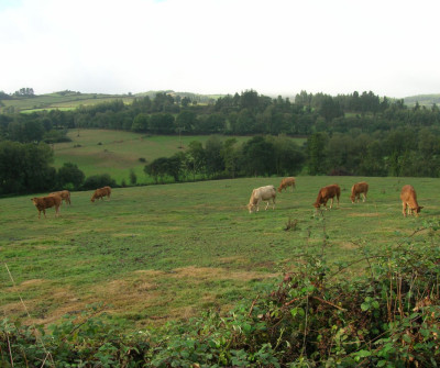 Paisaje rural entre Miraz y Sobrado