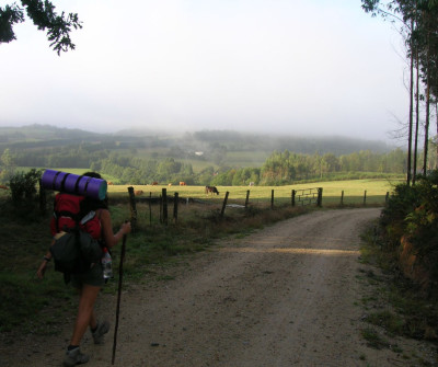 Camino de Santiago en dirección a Arzúa