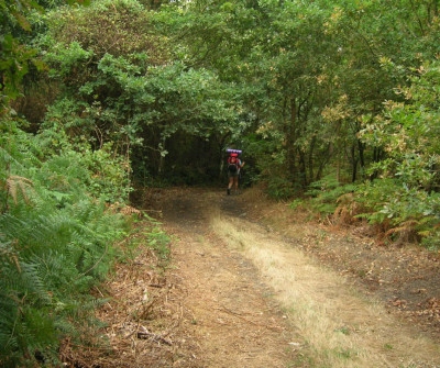 Camino del Norte entre Baamonde y Miraz