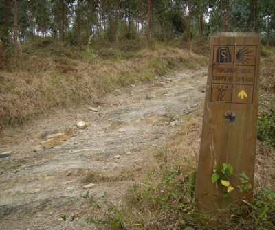 Señalización del Camino del Norte