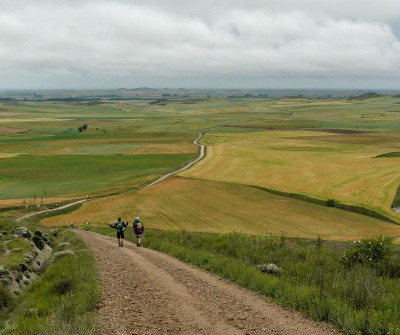 Camino de Santiago entre Boadilla del Camino y  Carrión de los Condes