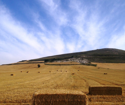 Camino de Santiago Francés entre Burgos y Hontanas