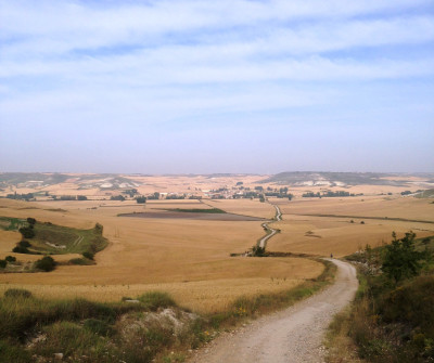 Camino Francés entre Burgos y Hontanas
