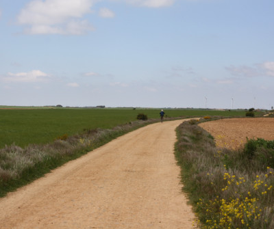 Etapa Burgos - Hontanas del Camino de Santiago Francés