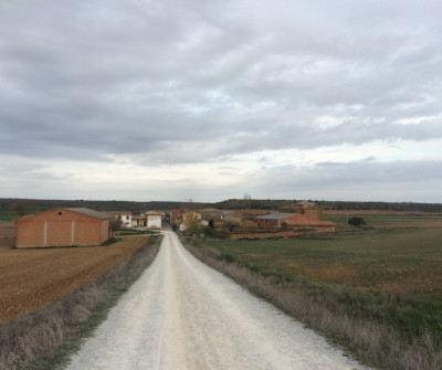 Camino Francés entre Carrión de los Condes y Terradillos de los Templarios