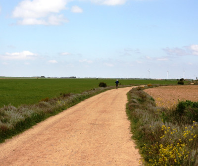 Camino Francés entre Hontanas y Boadilla del Camino