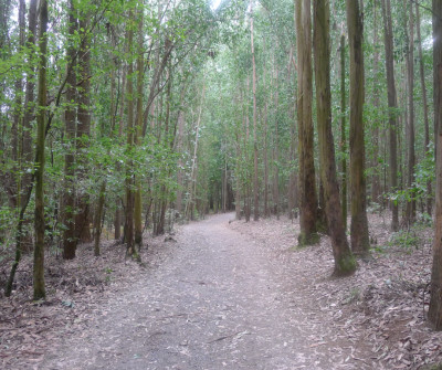 Etapa León - San Martín del Camino 