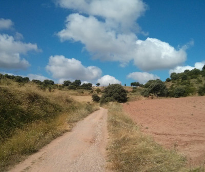 Camino Francés entre Logroño y Nájera