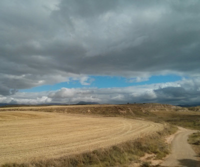 Camino Francés entre Los Arcos y Logroño