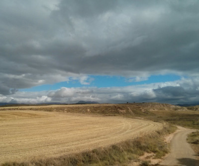 Camino Francés entre  Los Arcos y Logroño