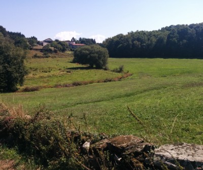 Etapa entre portomarín y Palas de Rei en el Camino de Santiago Francés