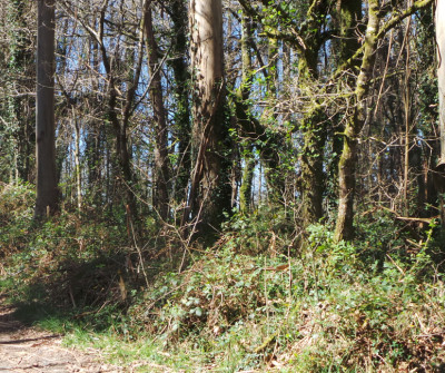 Etapa del Camino de Santiago entre Sarria y Portomarín