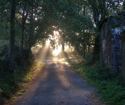 Etapa Sarria - Portomarín del Camino Francés