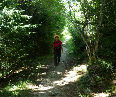 Bajando de Canfranc en el Camino Francés por Aragón