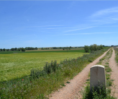 Señalización en el Camino Francés rumbo a El Burgo Ranero