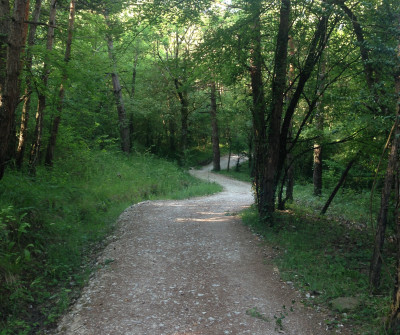 Camino Francés entre Zubiri y Pamplona