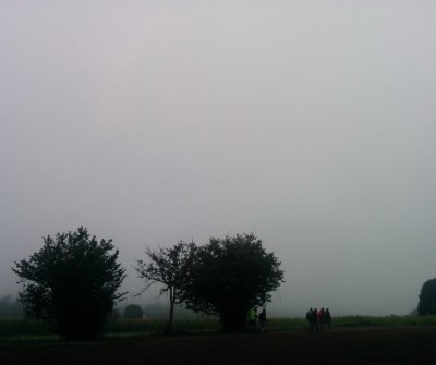 Niebla en O Pedrouzo, Camino de Santiago Francés