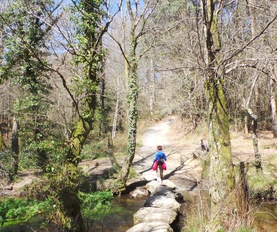 Etapa del Camino Francés entre Arzúa y O Pedrouzo