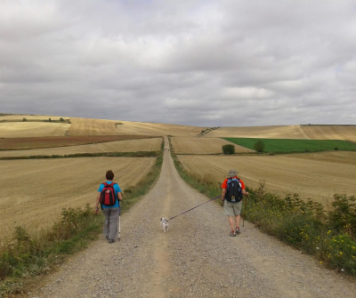 Peregrinos por el Camino Francés entre Nájera y Santo Domingo de la Calzada